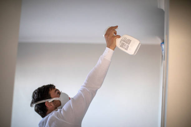 Best Residential Mold Removal  in Deforest, WI