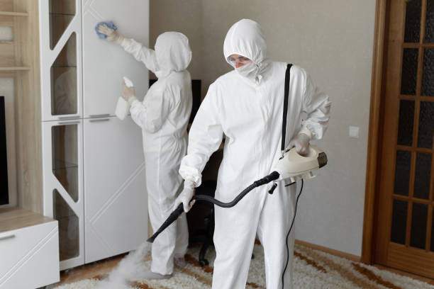 Best Toxic Mold Removal  in Deforest, WI