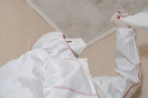 Best Professional Mold Removal  in Deforest, WI