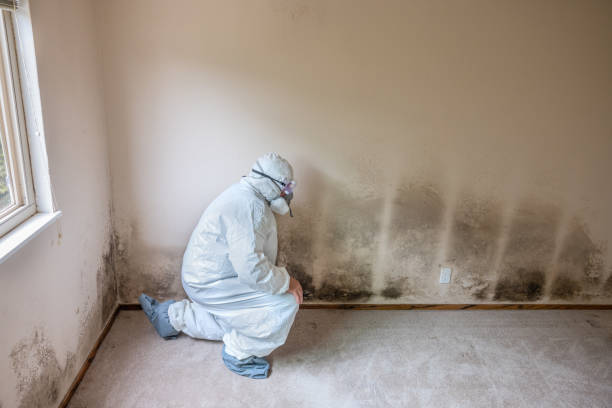 Best Mold Cleaning Services  in Deforest, WI